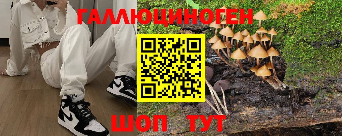 Галлюциногенные грибы ЛСД  Вход с VPN  даркнет сайт  Строитель  Псилоцибиновые грибы Psilocybe 